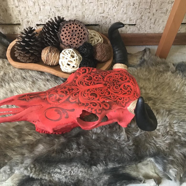 Продам череп быка – купить в Приморско-Ахтарске, цена 15 000 руб., дата ...