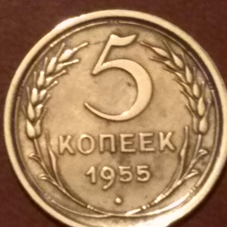 Ссср 1955. СССР 5 копеек 1955. 5 Копеек 1955 года СССР. Крендель 5 коп СССР. Сколько стоит 5 копейка СССР 1955.