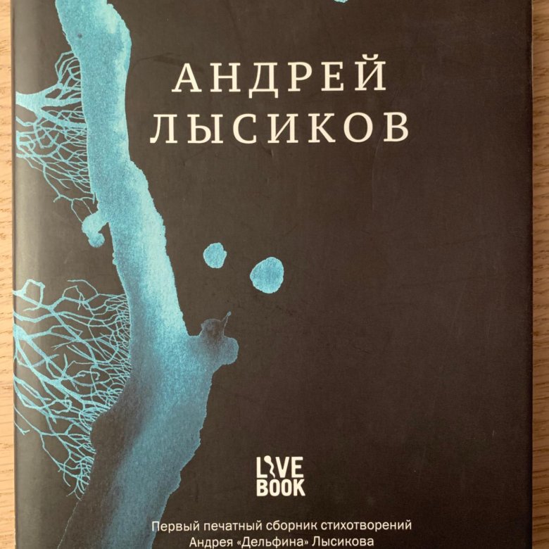 Дельфин стихи. Стихи Андрей «Дельфин» Лысиков книга. Книга стихов дельфина. Андрей Лысиков Дельфин книга. Стихи дельфина Андрей Лысиков.