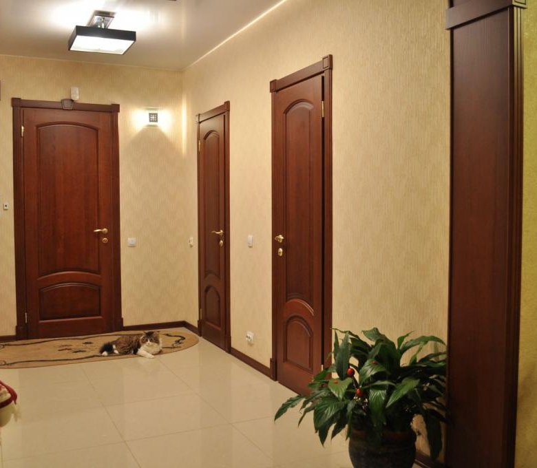 Дверь в квартиру королев. Межкомнатные двери в коридоре. Коридор с коричневыми дверями. Светло коричневые двери в интерьере. Прихожая с коричневыми дверями.