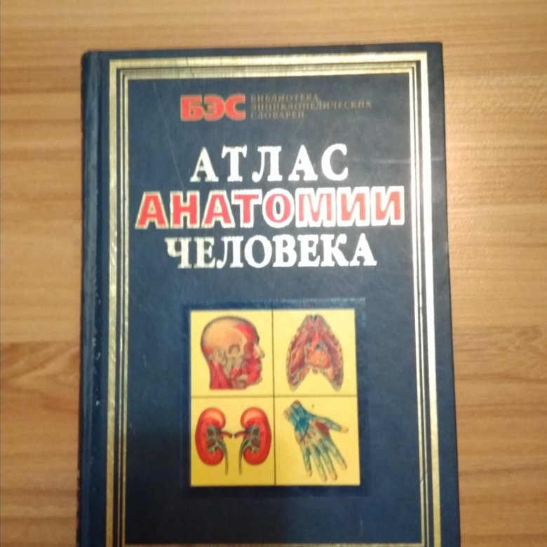 Атлас анатомия человека том 2. Атлас анатомии человека в.б.Марысаев 2018 года.