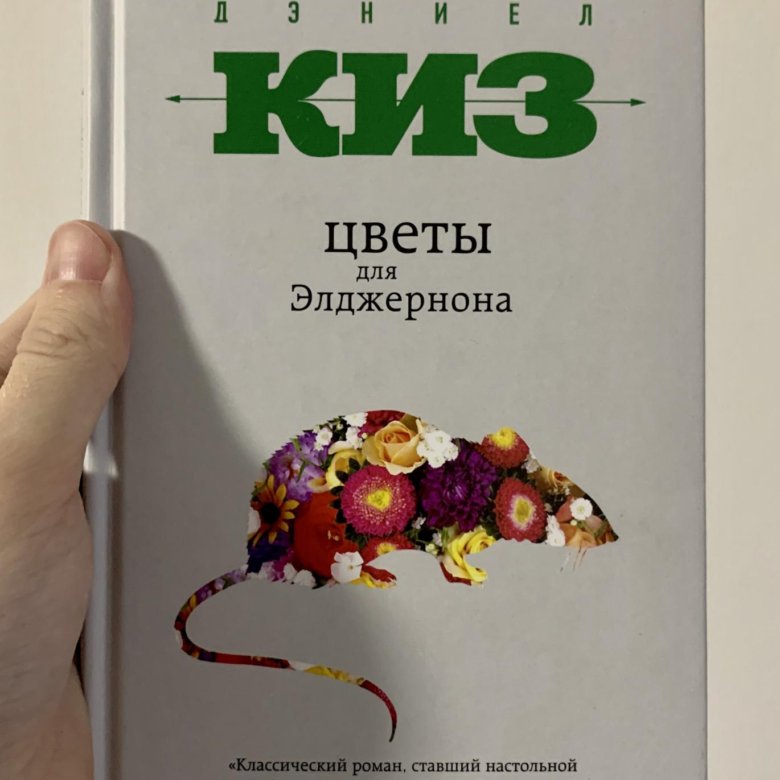 Цветы для элджернона похожие. Дэниел киз цветы. Дэниел киз цветы для Элджернона. Цветы для Элджернона книга. Дениал Кисс цветы для энжелрона.