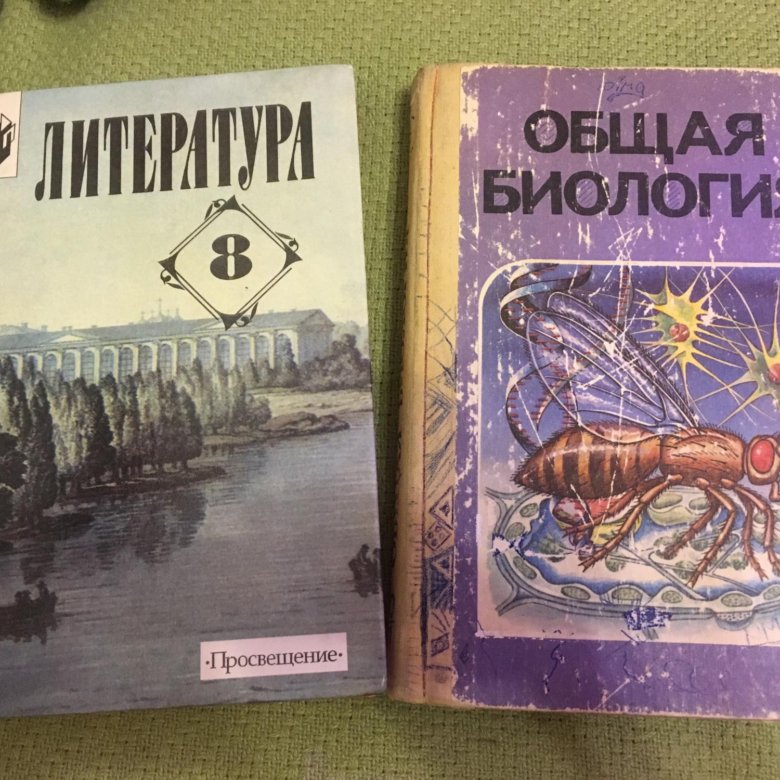 Учебники 90. Учебники 90-х годов. Школьные учебники 90-х годов. Школьные учебники 90х. Учебники 90 годов.