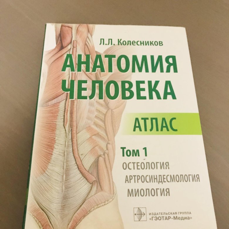 Синельников атлас анатомии человека обложка. Атлас анатомии человека. Атлас по анатомии 1 том. Атлас по анатомии человека 1 том билич. Атлас анатомии человека синельников.