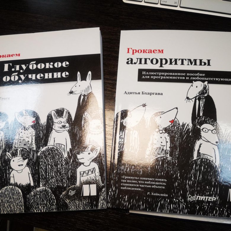 Грокаем алгоритмы. Грокаем алгоритмы книга. Бхаргава Грокаем алгоритмы. Алгоритмы книги для программистов.