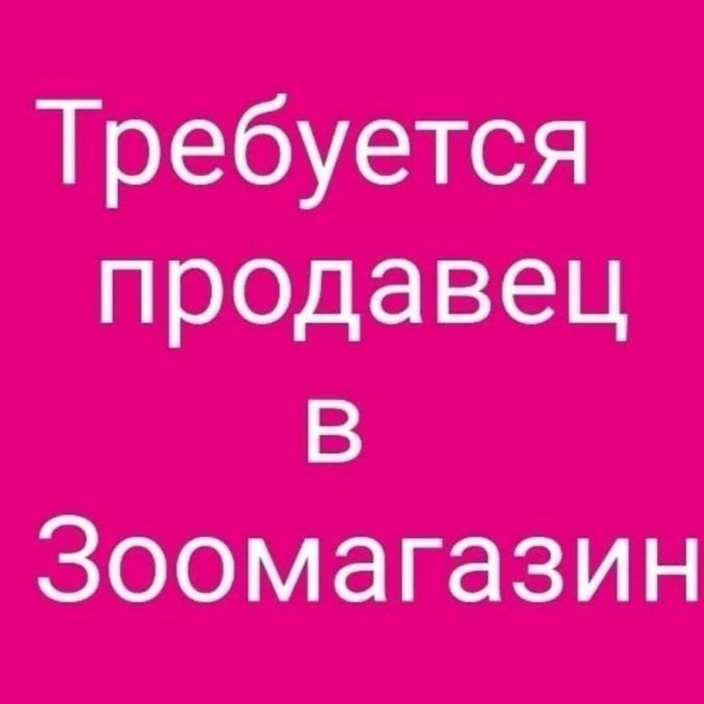 Картинка продавец в зоомагазин