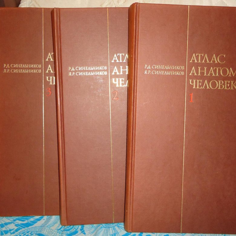 Синельников 4 том. Атлас анатомии человека Синельников. Атлас анатомии человека Синельников 1 том.