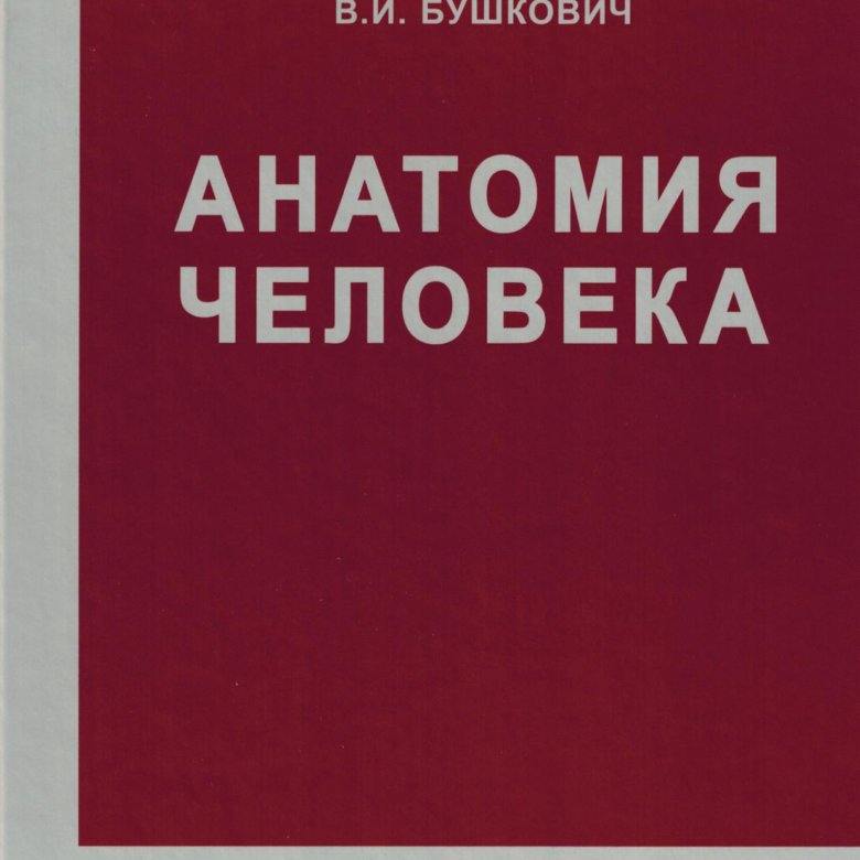 Привес анатомия человека читать. Анатомия человека привес Лысенков Бушкович. М.Г. привес. Анатомия человека. Атлас привеса анатомия. Привес атлас анатомии человека.