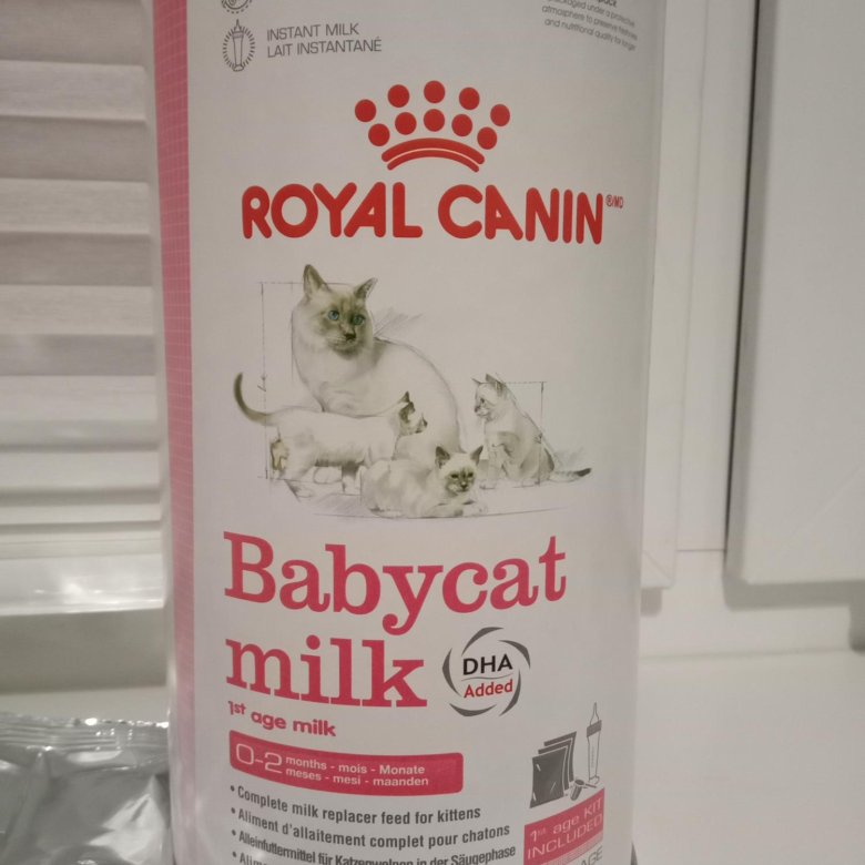 Авито молоко. Смесь для котят новорожденных Роял Канин. Молоко Babycat Royal Canin. Роял Канин молоко для котят. Роял Канин Babycat Milk сухое молоко.