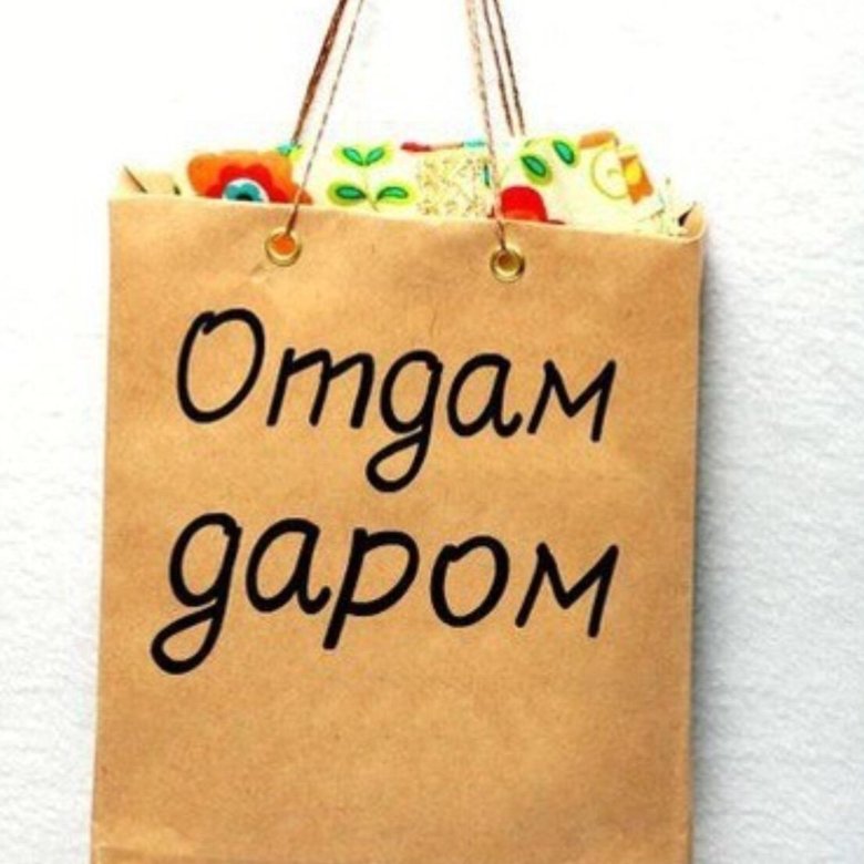 Отдам даром объявление севастополя. Отдам даром объявление севастополя. Группа отдам даром. Отдам даром объявление севастополя. Отдам даром обложка.