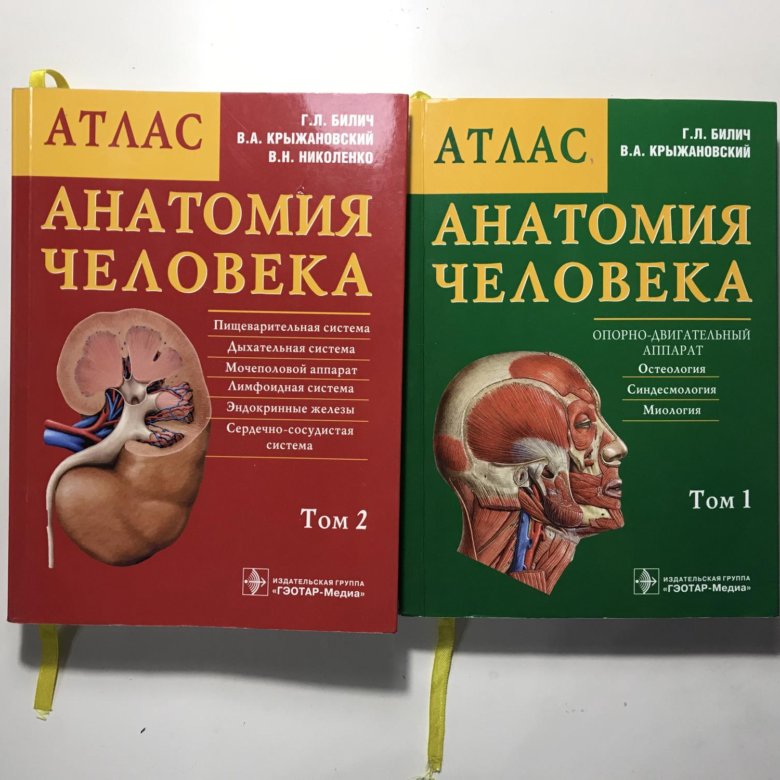 Атлас анатомия билич крыжановский. Билич Крыжановский анатомия 1 том. Атлас анатомии Билич Крыжановский. Атлас Билич Крыжановский том 1. Билич атлас анатомии человека.