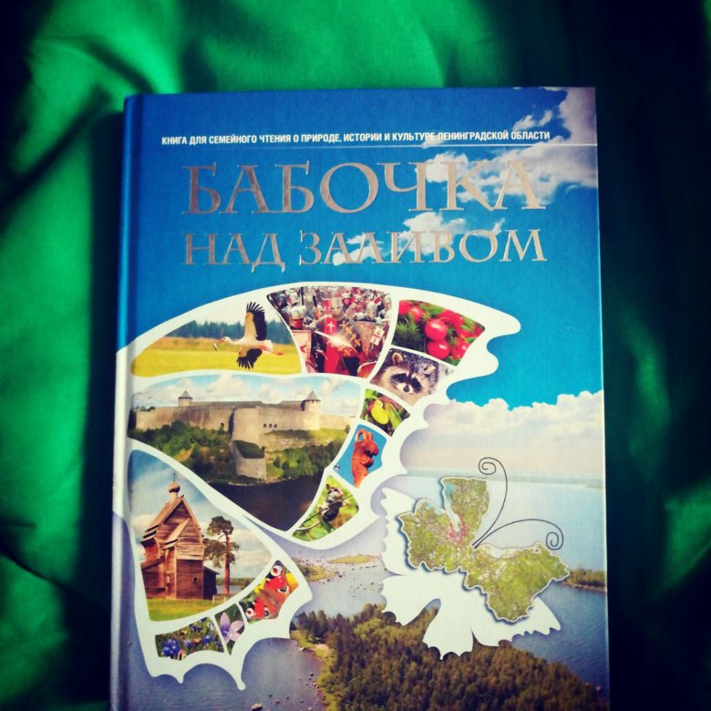 Бабочка над заливом карта ленинградской области