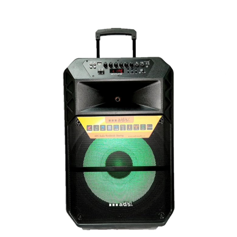 Колонки 300. Колонка Power Acoustik 300 Watt. Колонка вольта портативная 300 ватт. Колонка блиц Вульф 100 ват. Портативная колонка 240 ватт.