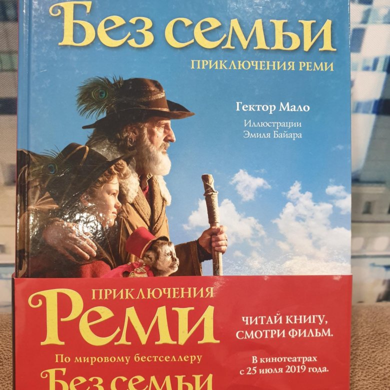 Без семьи книга. Реми мало книга без семьи. Без семьи. Приключения Реми. Приключения Реми книга. Мало. Без семьи.