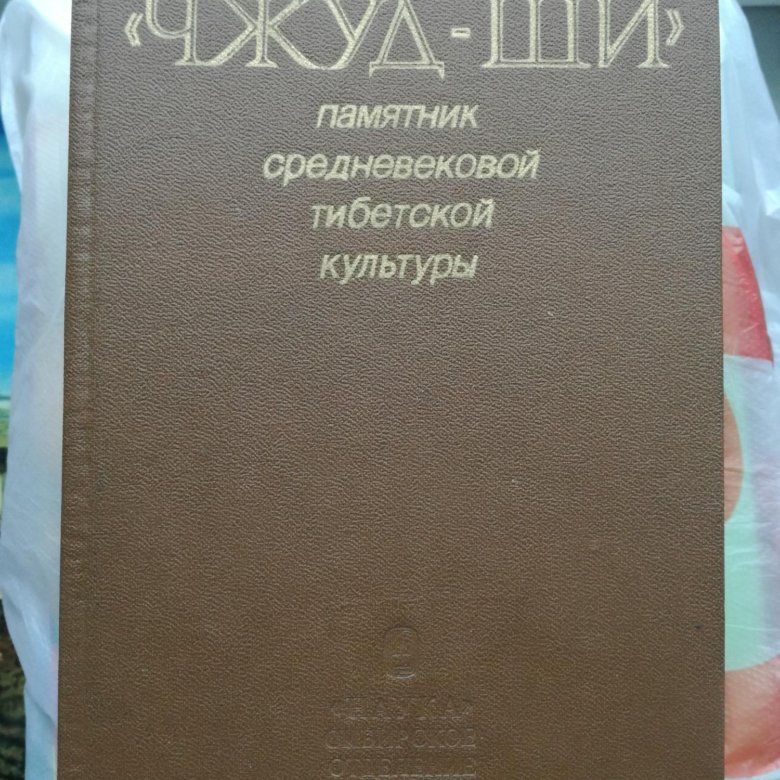 Чжуд ши книга. Трактат чжуд ши о тибетской медицине. Трактат чжуд ши о тибетской медицине. Чжуд ши книга. Трактат чжуд ши.
