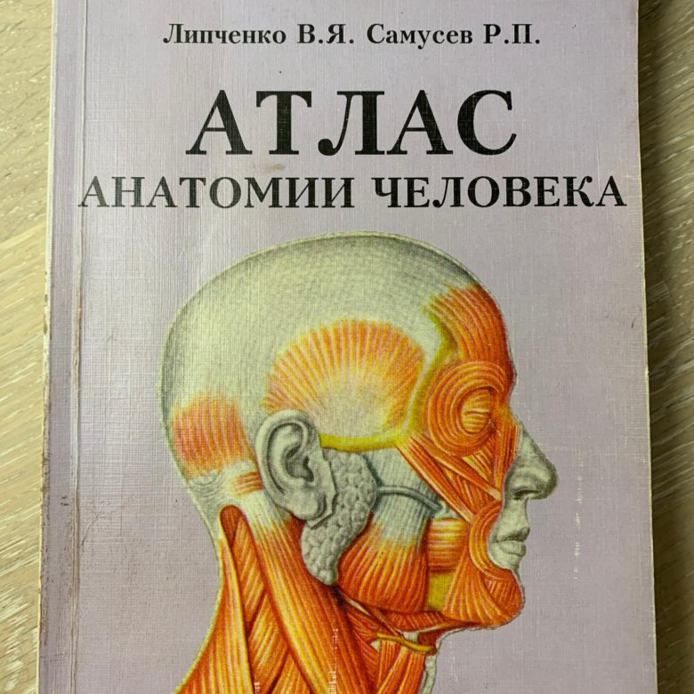 Анатомия липченко самусев. Атлас анатомии человека Самусев. Атлас анатомии человека Самусев Липченко. Атлас анатомия человека р.п Самусев. Атлас анатомия и физиология человека.