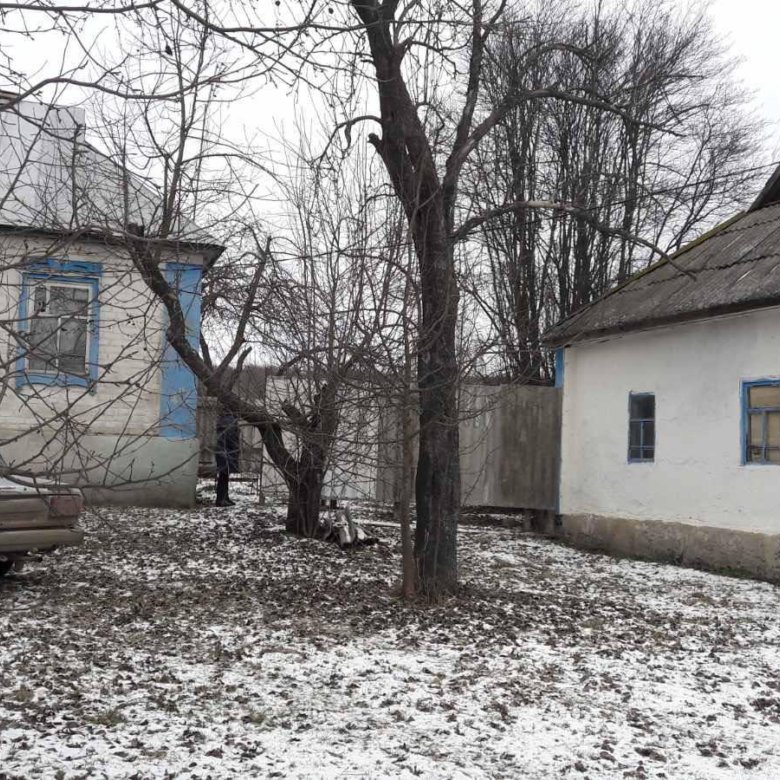 Дома куровского. Недвижимость волово липецкая. Недвижимость волово липецкая. Агенты недвижимости село волово. Недвижимость волово липецкая.