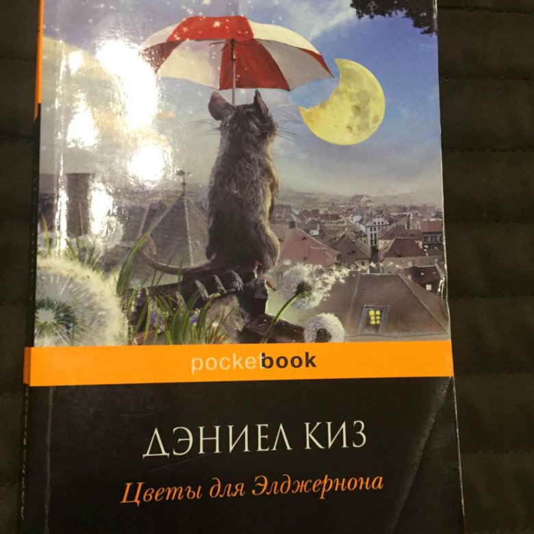 Дэниел киз цветы для элджернона. Дэниел киз Лондон. Дэниел киз Портер человека.