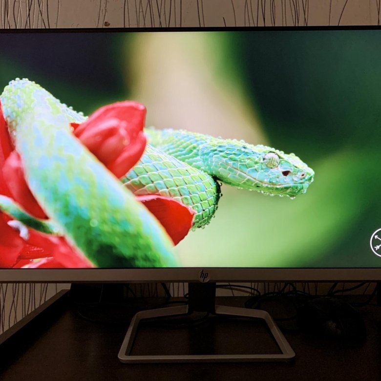 F monitor. Монитор HP 24f. Кронштейн для монитора HP 24f. Монитор hp24f розоватый экран. Монитор HP 24f 75hz разбор.