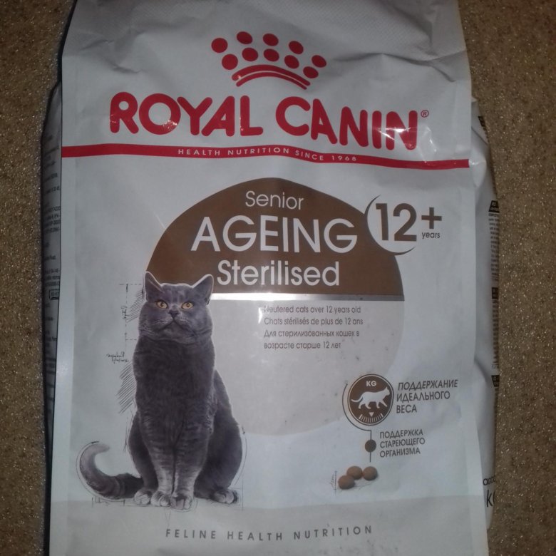 Royal canin sterilised ageing 12 стерилизованных. Royal Canin ageing Sterilised 12+. Royal Canin Sterilised 12+. Роял Канин Стерилайзд 12+ 4кг. Кошка Royal Canin Sterilised 12+.