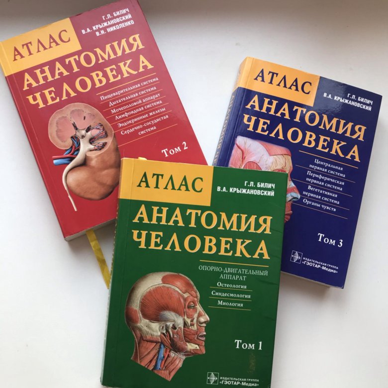 Атлас анатомии человека билич г л. Атлас анатомии человека Билич 3 том. Атлас анатомии Билич Крыжановский. Билич Крыжановский анатомия человека атлас том 2. Атлас по анатомии Билич 2 том.