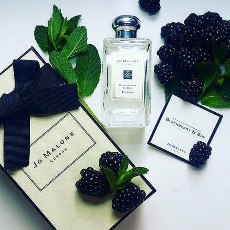 Blackberry bay отзывы. Джо Малон ежевика. Джо Малон блэкберри Бэй. BLACKBERRY & Bay Jo Malone London. Духи с ежевикой.