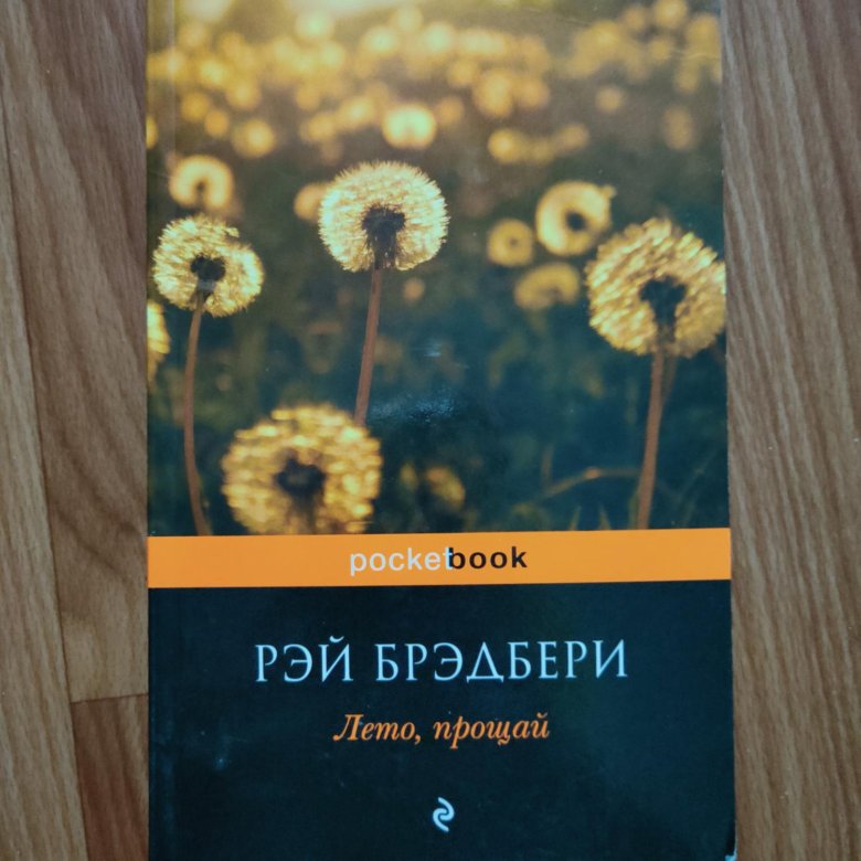 Все лето в один день брэдбери кратко. Брэдбери лето в один день.