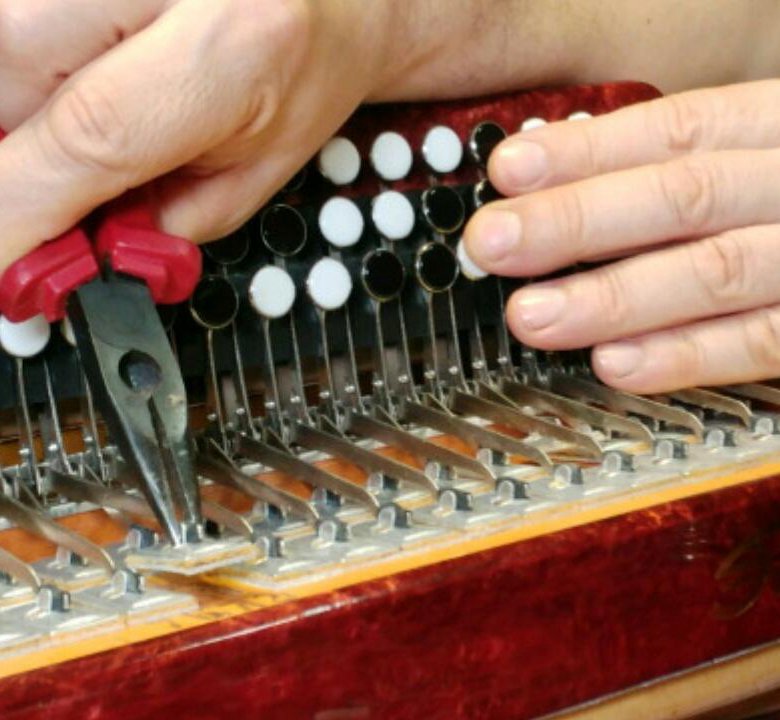 Ремонт и настройка гармони баяна аккордеона – купить в Москве, цена 499 ...