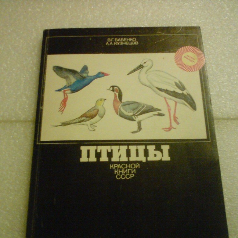 Птицы ссср книга. Птицы красной книги СССР. Бабенко птицы красной книги СССР. Бабенко в.г. "птицы".