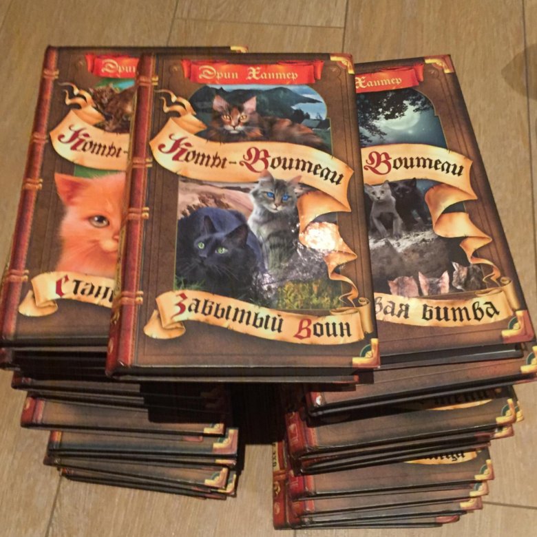 коты воители обещание метеора прозрение. эрин хантер коты воители бушующая стихия. эрин хантер коты воители западня. коты воители книги пророчество синей звезды. воители.