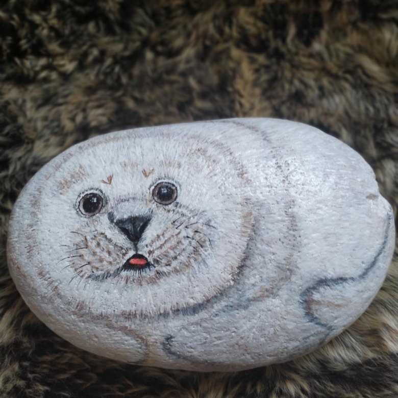 Рисунок нерпы на камне