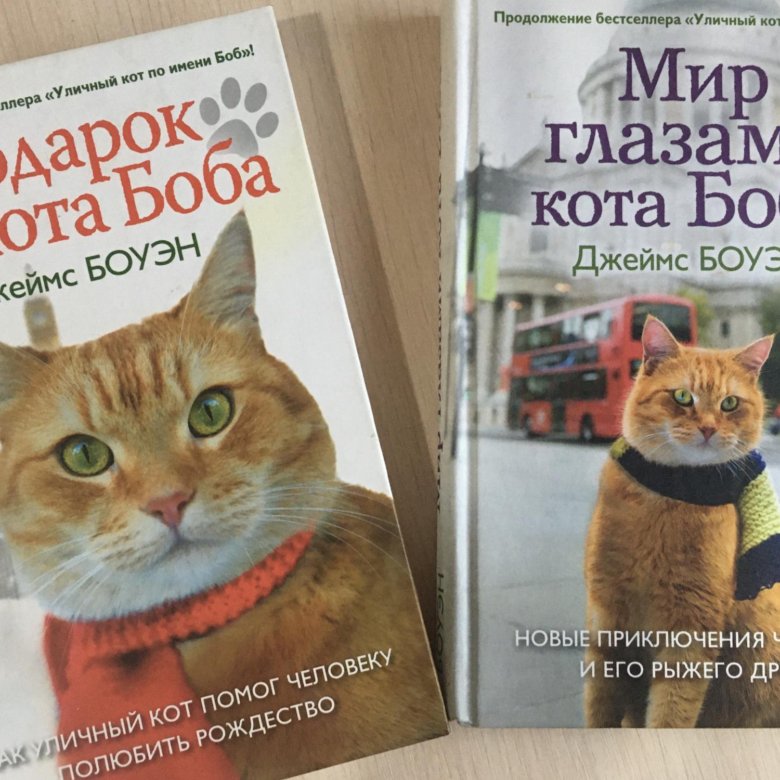 Книга про боба. Кот Боб. Книжка про кота Боба. Книга про рыжего кота Боба. Книги про котов Боб.