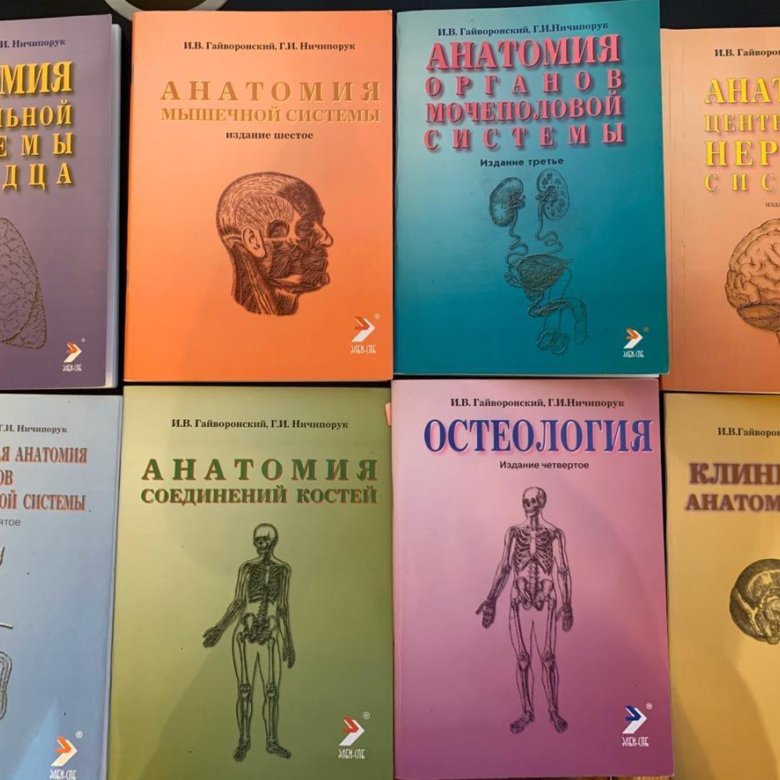 Гайворонский учебник. Гайворонский методичка. Методички Гайворонского по анатомии. Ufqdjheycrbq. Гайворонский ЦНС.