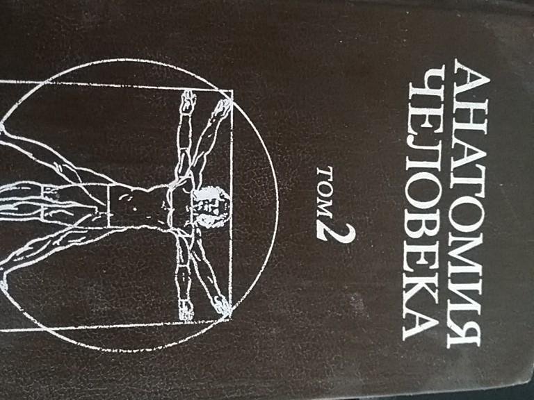 Сапин анатомия 2020. Сапин 2 Тома. Анатомия человека Борзяк Добровольская Ревазов Сапин. Сапин.