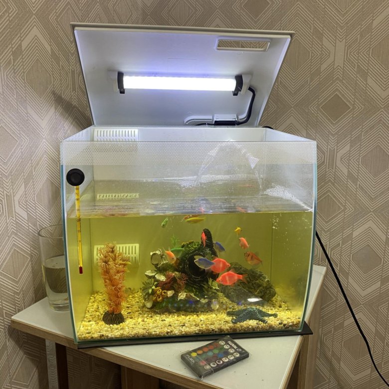 Купить аквариум в оренбурге
