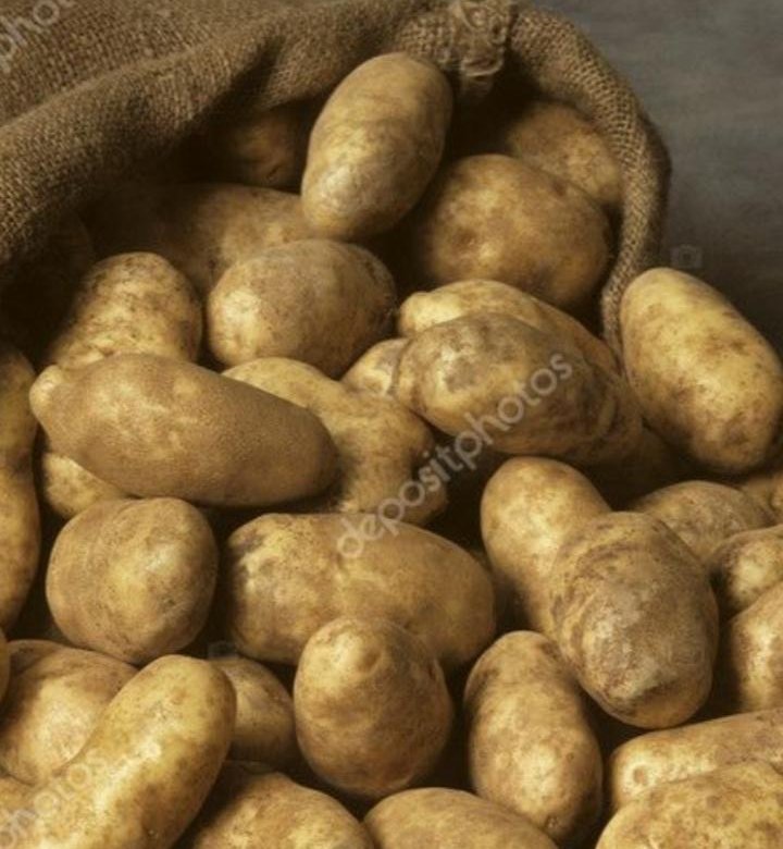 Сонник картошка видеть. Картофель Адретта. Адретта чищеная. К чему снится картофель. К чему снится мешок картошки.