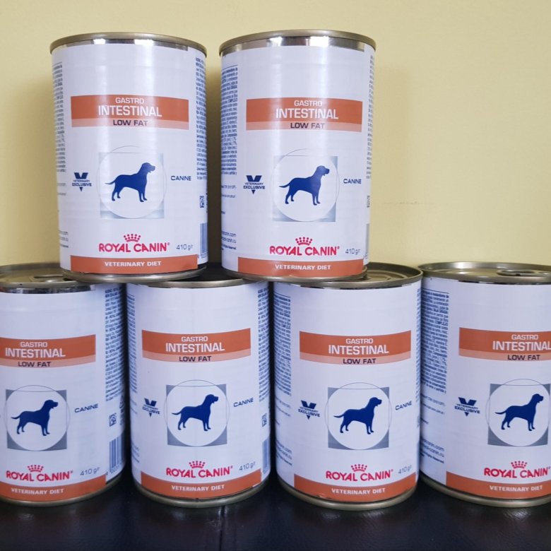 Роял канин гастро модератор. Royal Canin Gastro intestinal для собак консервы. Роял гастро Лоу фэт для собак. Роял Канин Low fat консервы. Гастро Интестинал Лоу фэт для собак консервы.