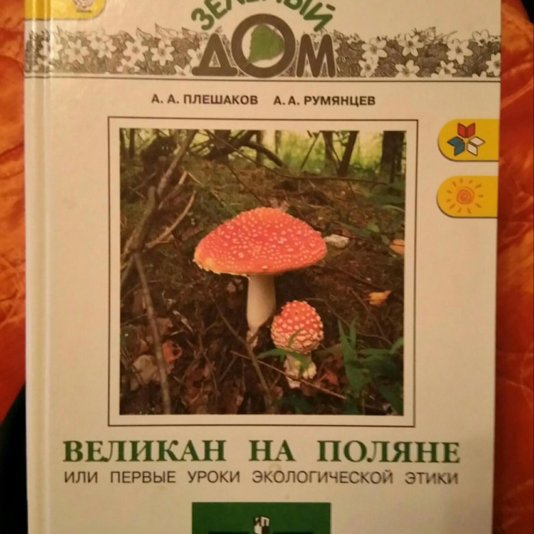 Великан на поляне насекомые для коллекции. Плешаков великан на Поляне. Книга великан на Поляне цена. Фото книги великан на Поляне. Сколько стоит книга великан на Поляне.