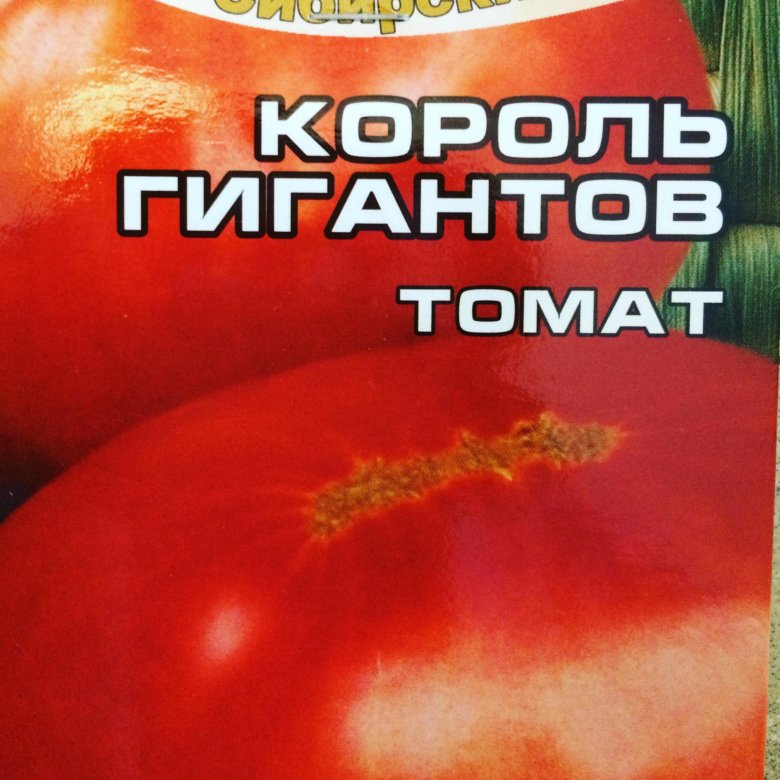 Томат король королей описание сорта фото. Томат Король гигантов. СИБСАД томат Король гигантов. Король гигантов томат отзывы фото. Король гигантов рассада.