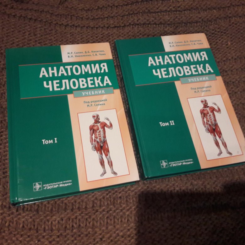 Анатомия сапин читать. Сапин анатомия человека. Сапин анатомия 2 том. Анатомия учебник Сапин. Книга по анатомии человека.