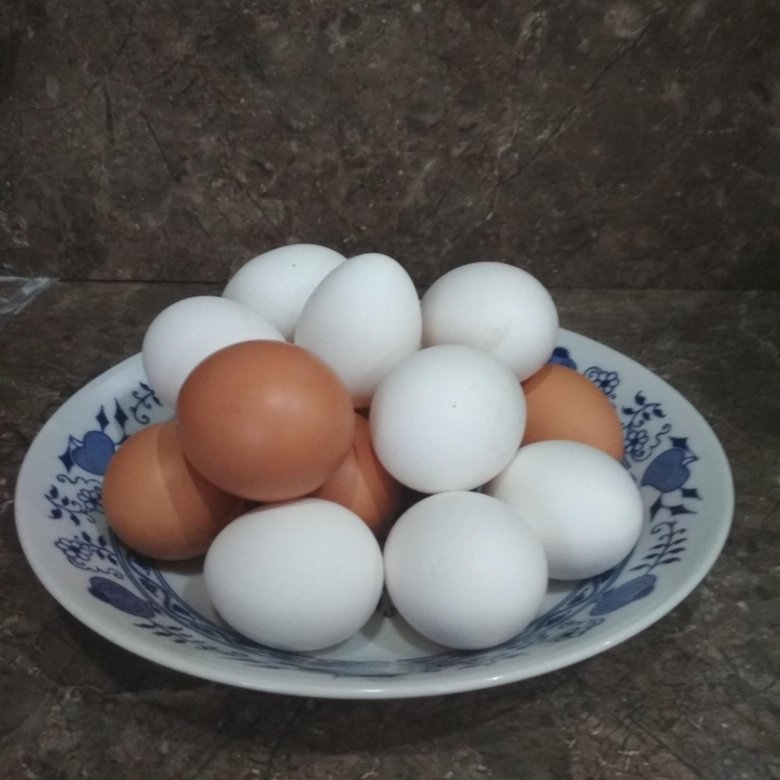 Купить яйцо в белгородской области. Яйцо домашнее. Домашние яйца 150 рублей. Яйцо домашнее цена. Яйца домашние фото.