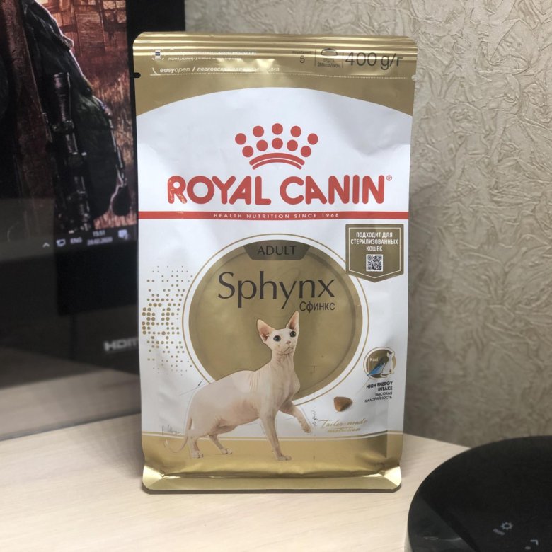 Лучший сухой корм для сфинксов. Корм роял канин для сфинксов котят. сфинкс с кормом роял канин. royal canin kitten sphynx. влажный корм роял канин для сфинксов.