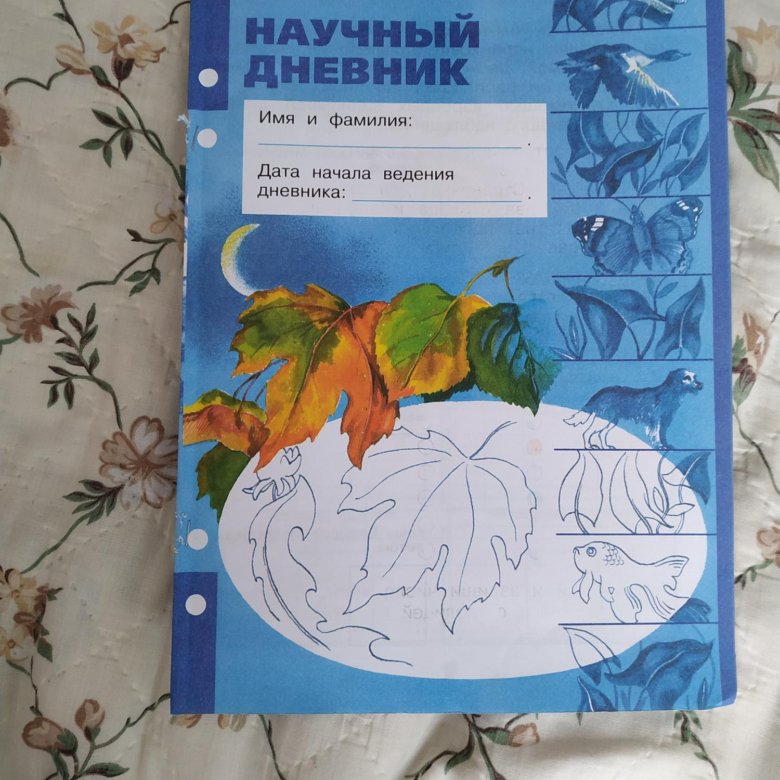 Научный дневник 2. Научный дневник. Научный дневник наблюдений. Дневник наблюдений Плешаков. Научный дневник Плешаков.