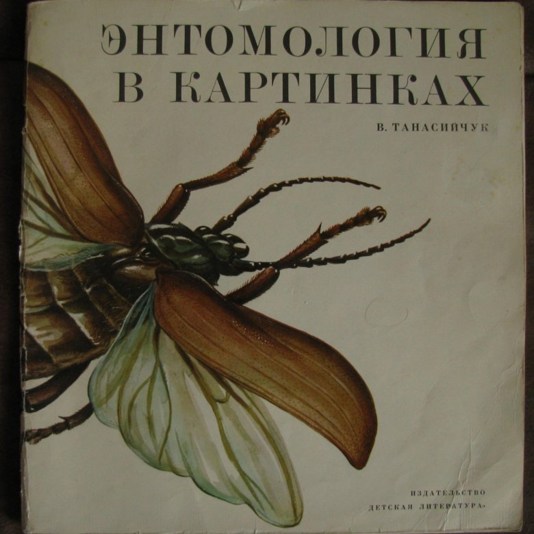 мдф энтомология в картинках для тех, кто