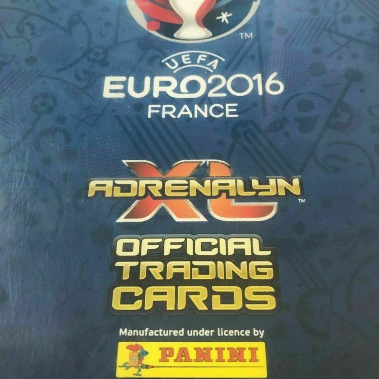 Panini Euro 2024.