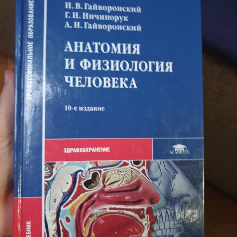 Гайворонский анатомия. Анатомия и физиология человека Гайваронски. Гайворонский анатомия и физиология. Анатомия человека Гайворонский. Гайворонский Ничипорук анатомия и физиология.