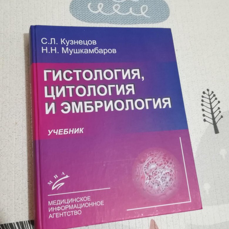 Гистология учебник. Кузнецов Мушкамбаров гистология учебник. Атлас гистология Кузнецов Мушкамбаров. С Л Кузнецов н н Мушкамбаров гистология. Гистология Афанасьев Мушкамбаров.