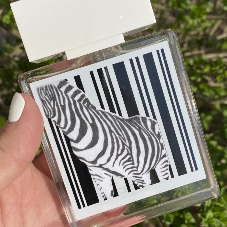 Духи зебра женские оригинал. Расаси Зебра. Pour elle духи Зебра. Rasasi Rumz Zebra.