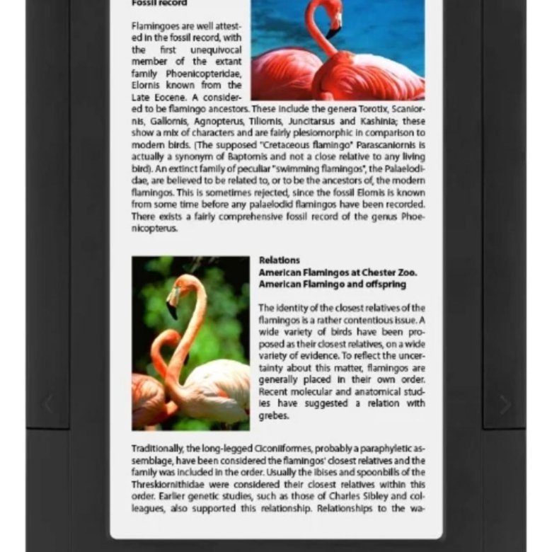 Pocketbook e-ink цветная с подсветкой. электронная книга покетбук 633 колор. Pocketbook 633 color. электронная книга iconbit hdb700touch 8gb. Pocketbook e ink.