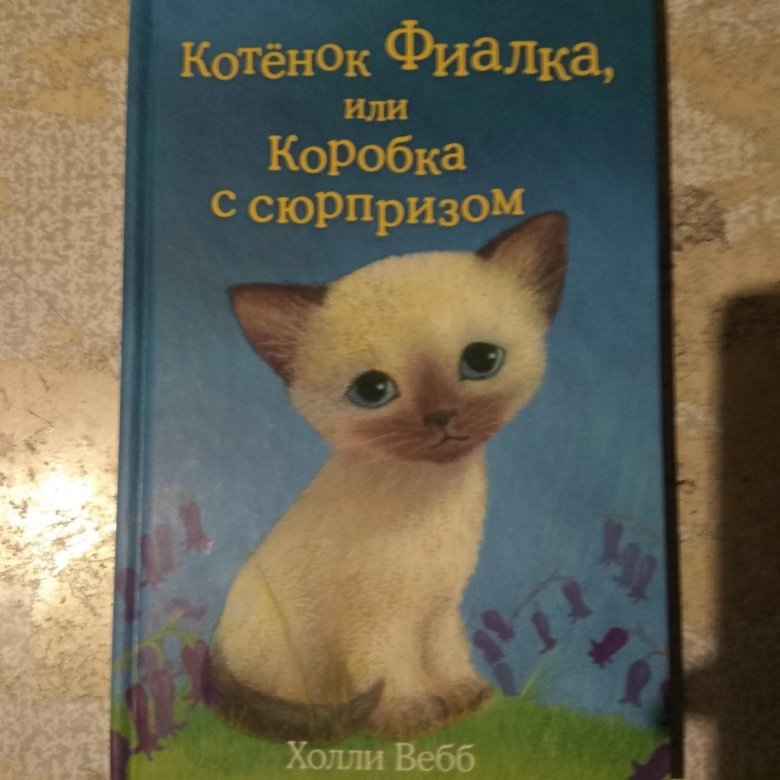 Книга котиков. Холли Вебб фиалка. Холли Вебб котенок фиалка. Холли Вебб кошка фиалка. Холли Вебб котёнок фиалка или коробка с сюрпризом.